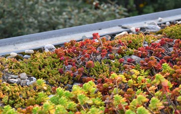 the cost of Old Way green roof installation