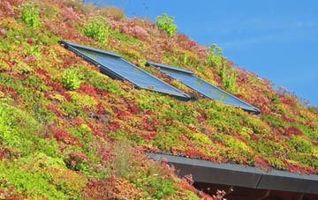Old Way living roof systems