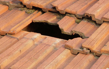 roof repair Old Way, Somerset